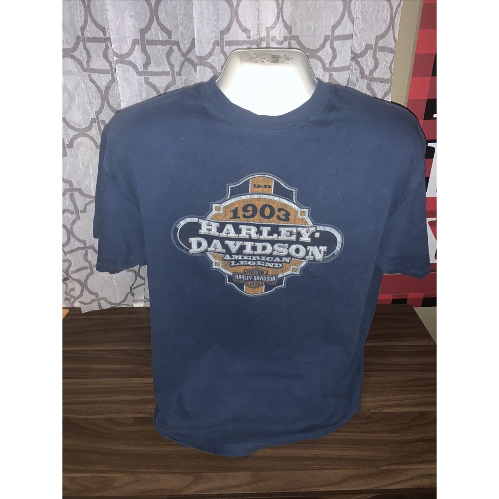 Harley Davidson T-shirt size XL Double Sided ST'nT Conneaut Lake PA Blue 1903